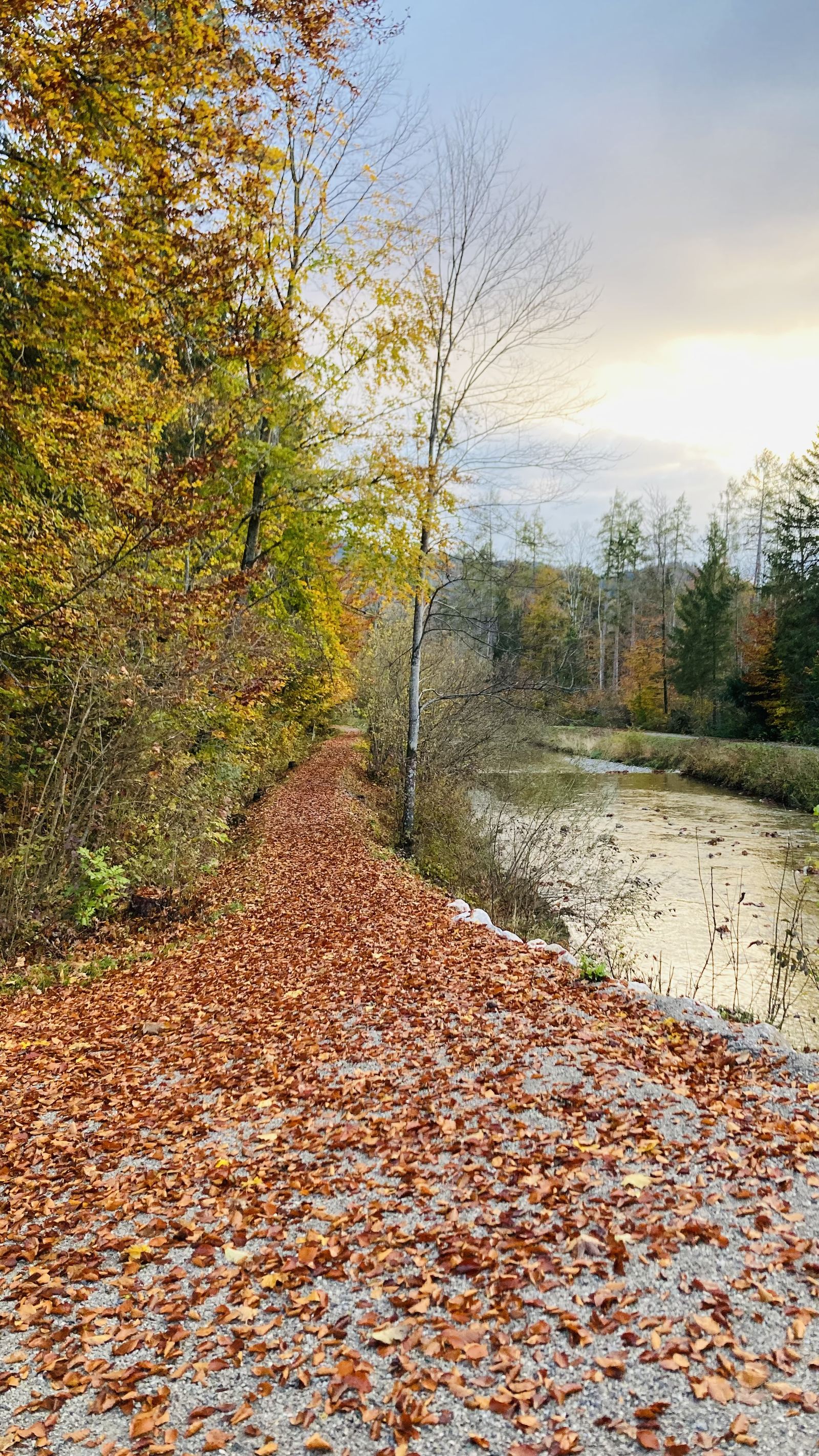 Herbstweg am Fluss