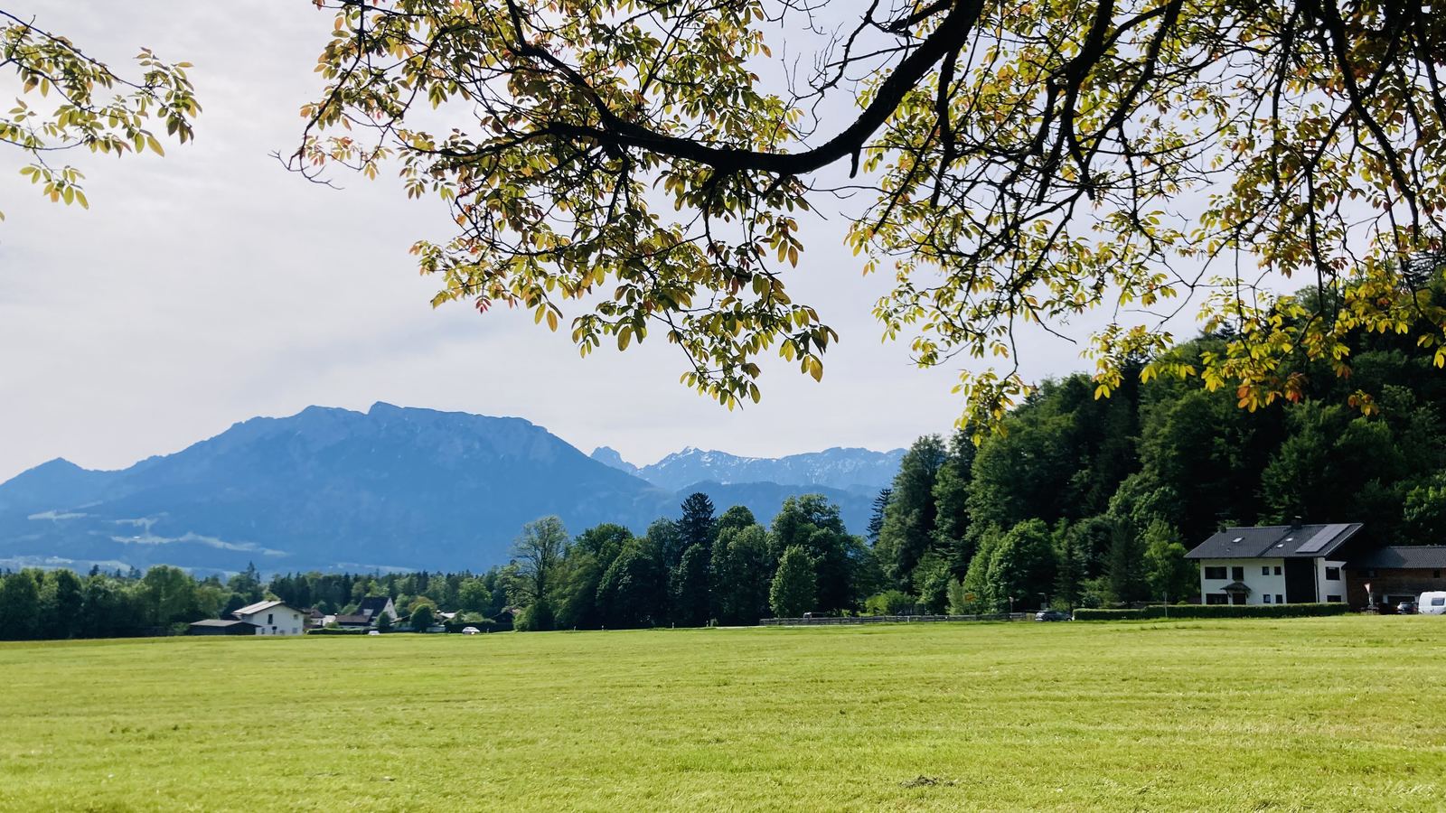 Herbstwiese mit Bergblick