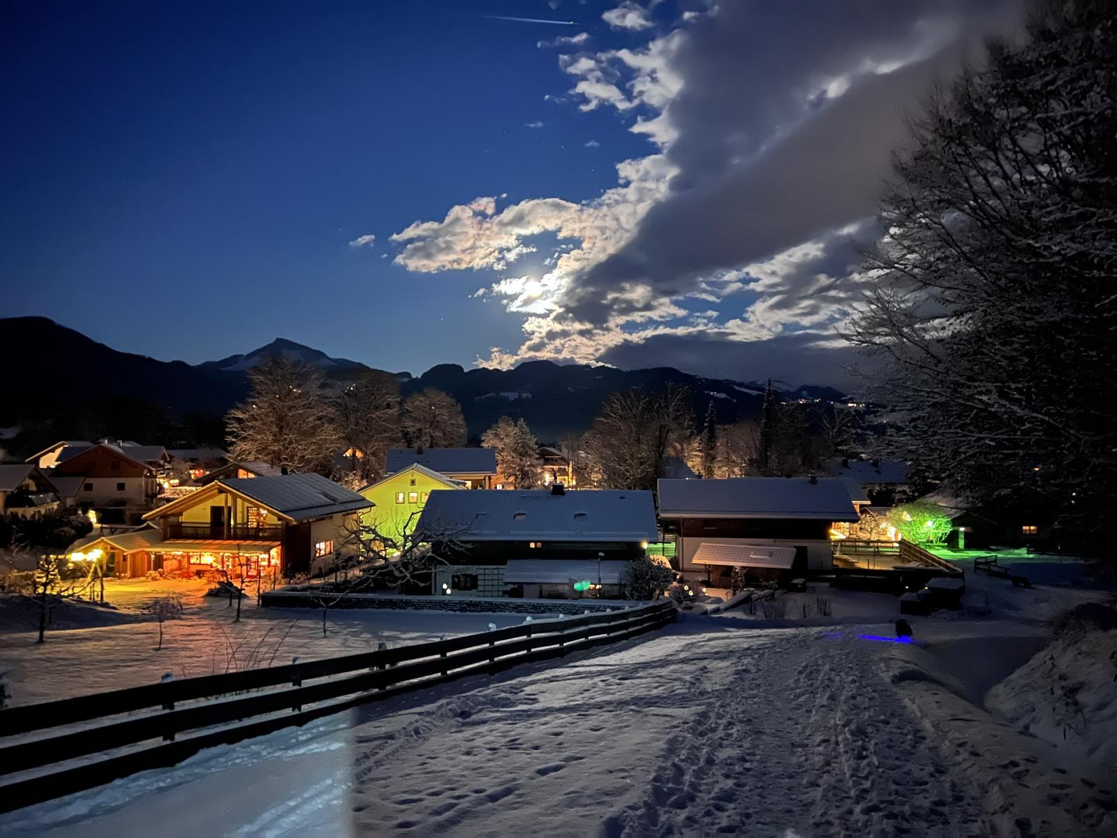 Winternacht mit Vollmond